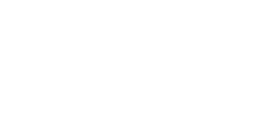 ahold_delhaize_logo